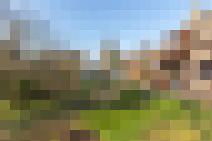 Wagenmakersstraat 2 Biggekerke thumbnail 49