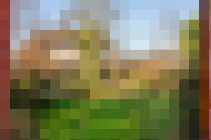 Wagenmakersstraat 2 Biggekerke thumbnail 50