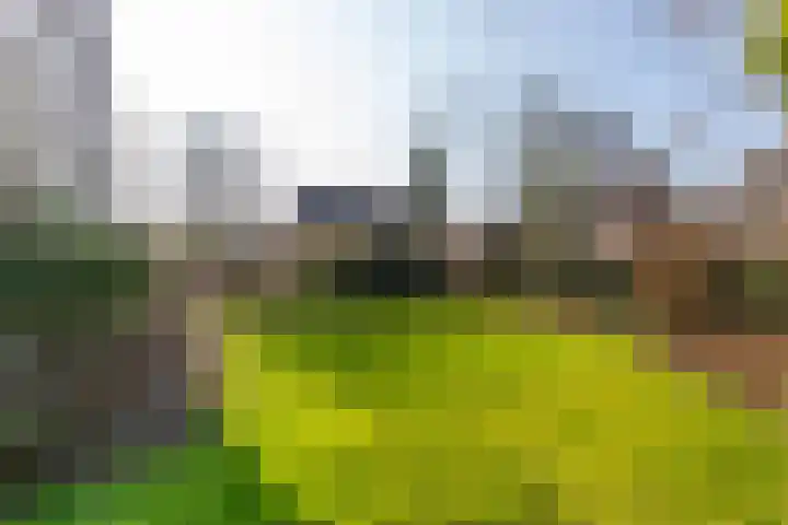 Wagenmakersstraat 2 Biggekerke thumbnail 51