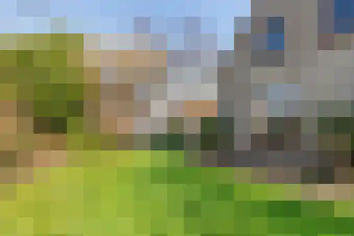 Wagenmakersstraat 2 Biggekerke thumbnail 52