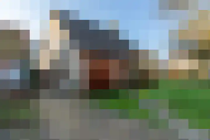 Wagenmakersstraat 2 Biggekerke thumbnail 54