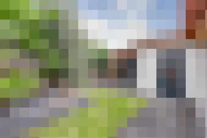 Wagenmakersstraat 38 Kerkdriel thumbnail 36