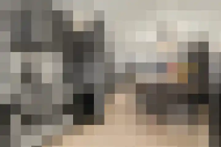 Wagenmakerstraat 22 's-Gravenzande thumbnail 10