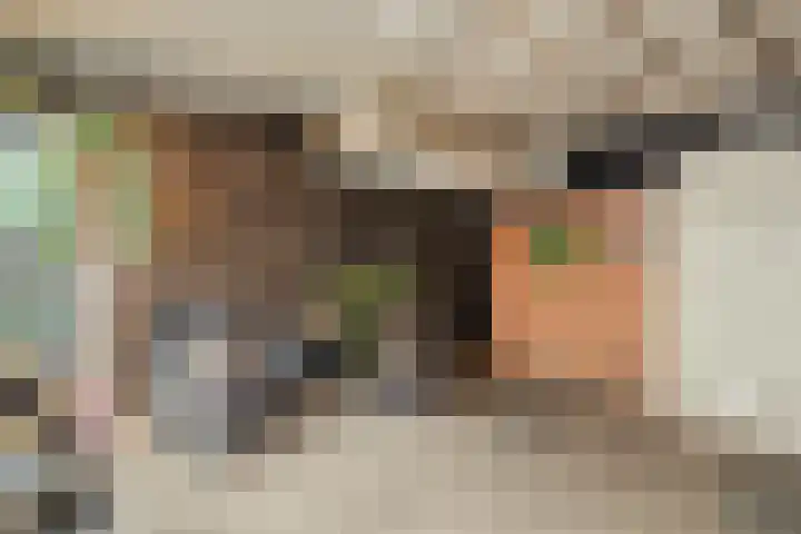 Wagenmakerstraat 22 's-Gravenzande thumbnail 33