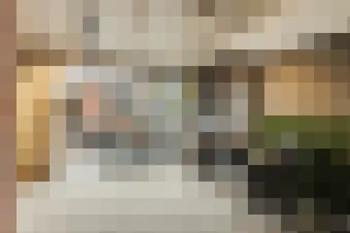 Wagenmakerstraat 22 's-Gravenzande thumbnail 34