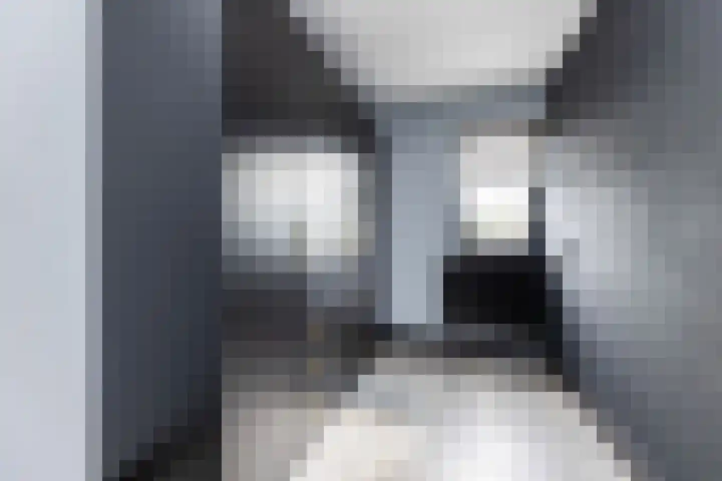 Wagenmakersweg 16 Wezep thumbnail 21