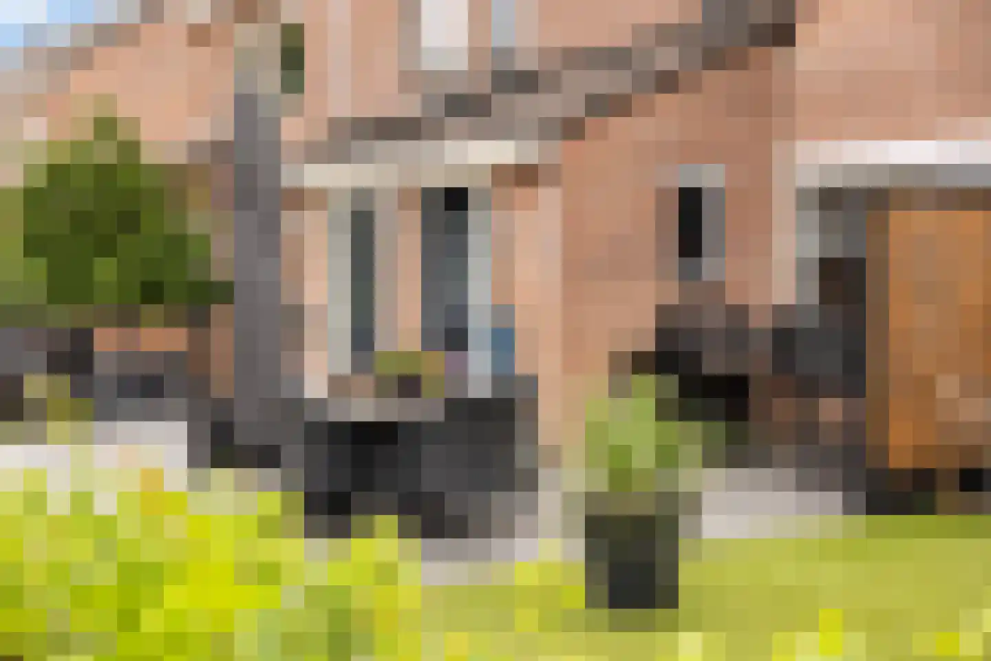 Wagenmakersweg 16 Wezep thumbnail 6
