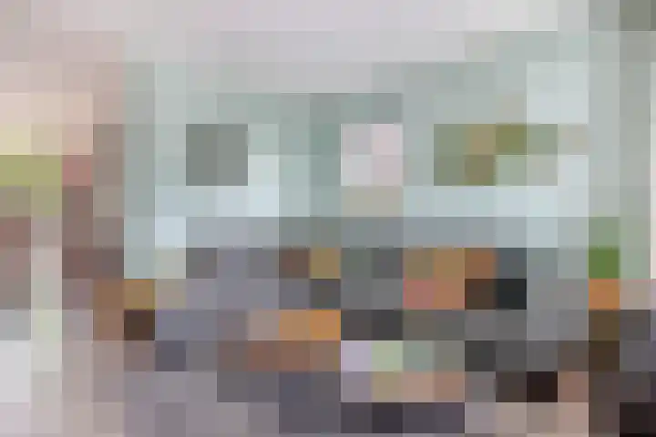 Wagenman 8 Lemmer thumbnail 11