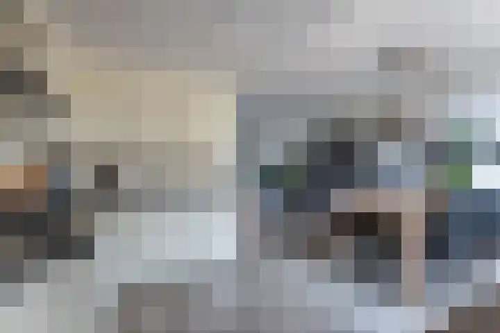 Wagenman 8 Lemmer thumbnail 18