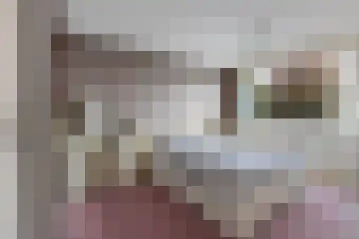 Wagenman 8 Lemmer thumbnail 30