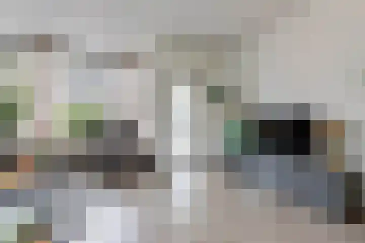 Wagenman 8 Lemmer thumbnail 9