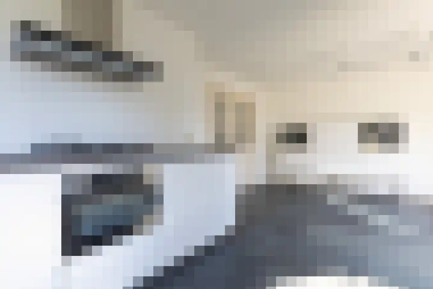 Wagenpad 19 Laren thumbnail 14