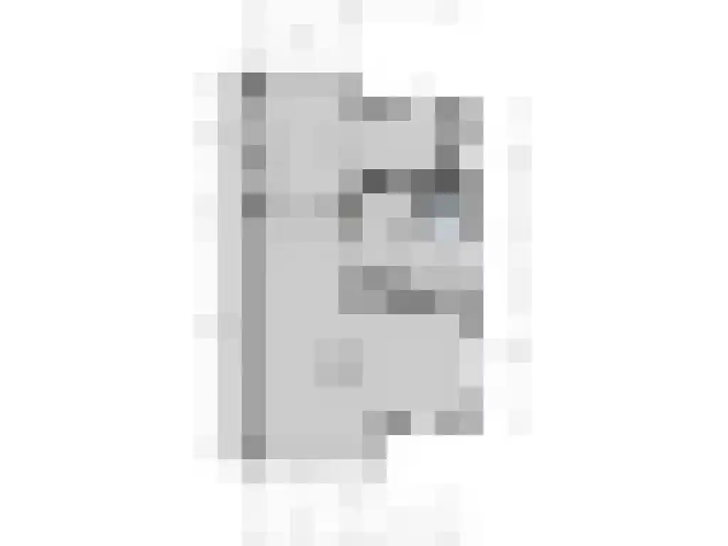 Wagenpad 19 Laren thumbnail 4