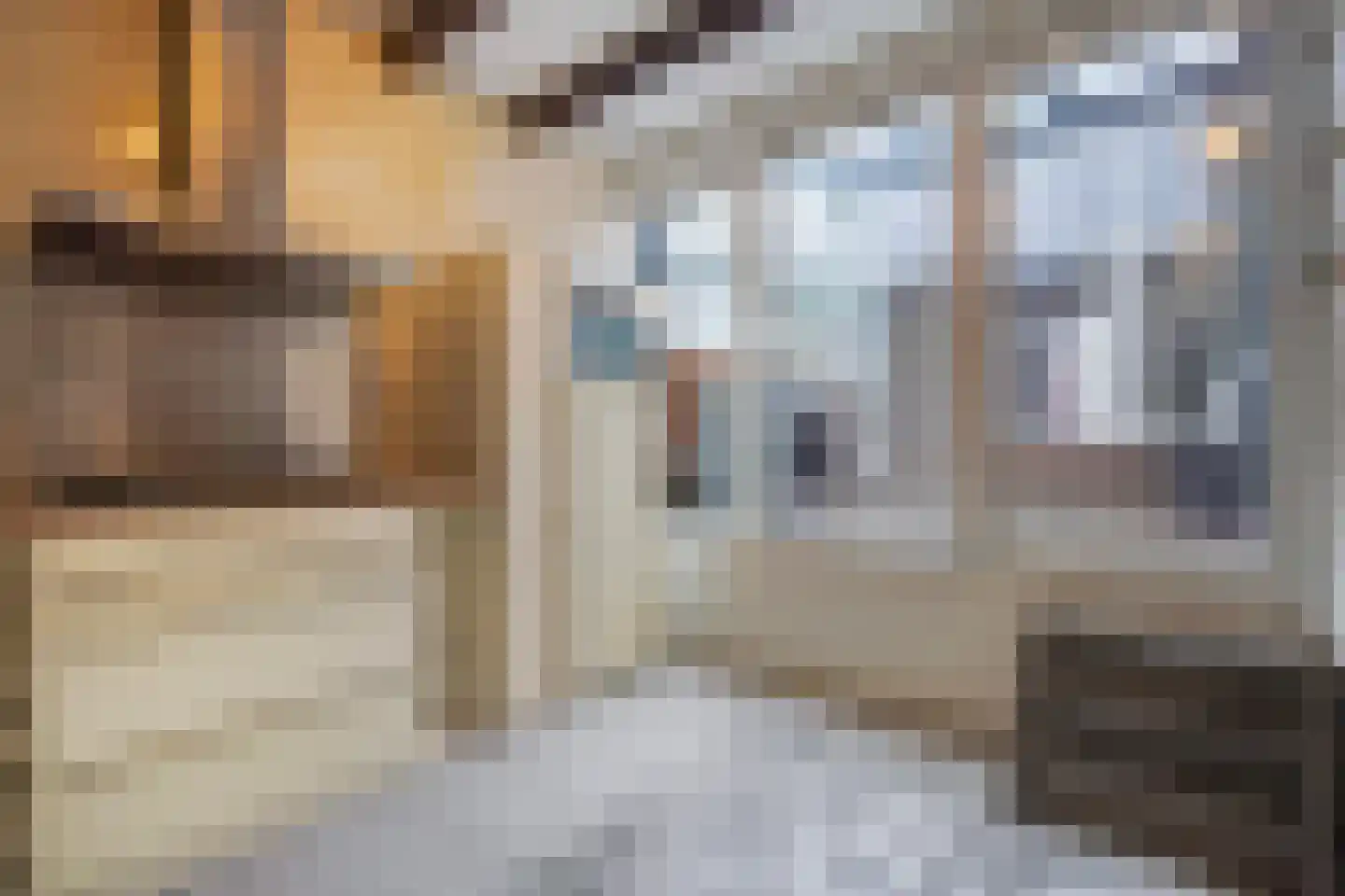 Wagenstraat 113 A Den Haag thumbnail 16