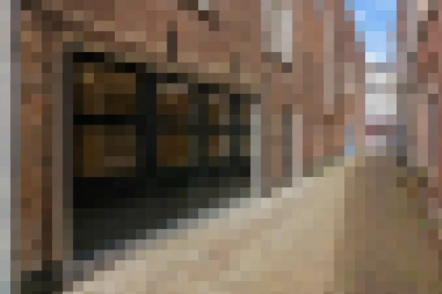 Wagenstraat 149 B Den Haag thumbnail 6