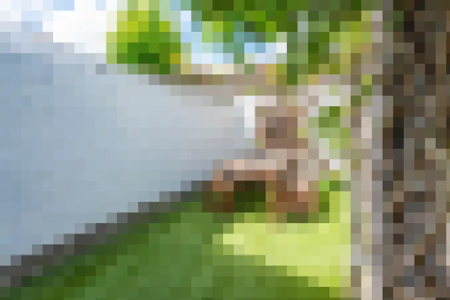 Wagenstraat 15 Lisse thumbnail 17