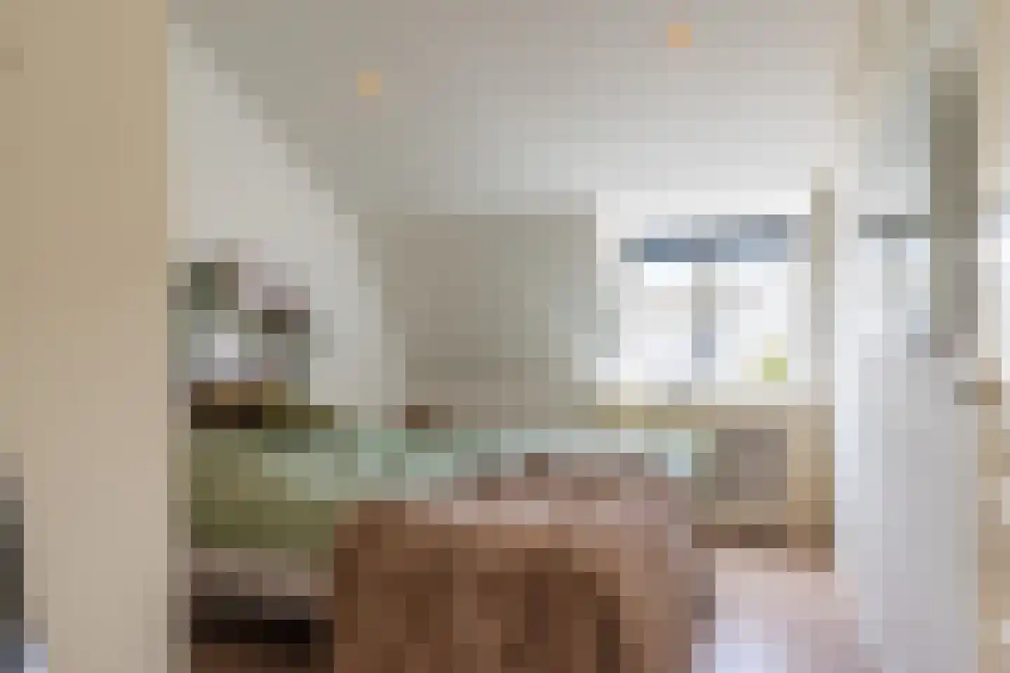 Wagenstraat 15 Lisse thumbnail 20