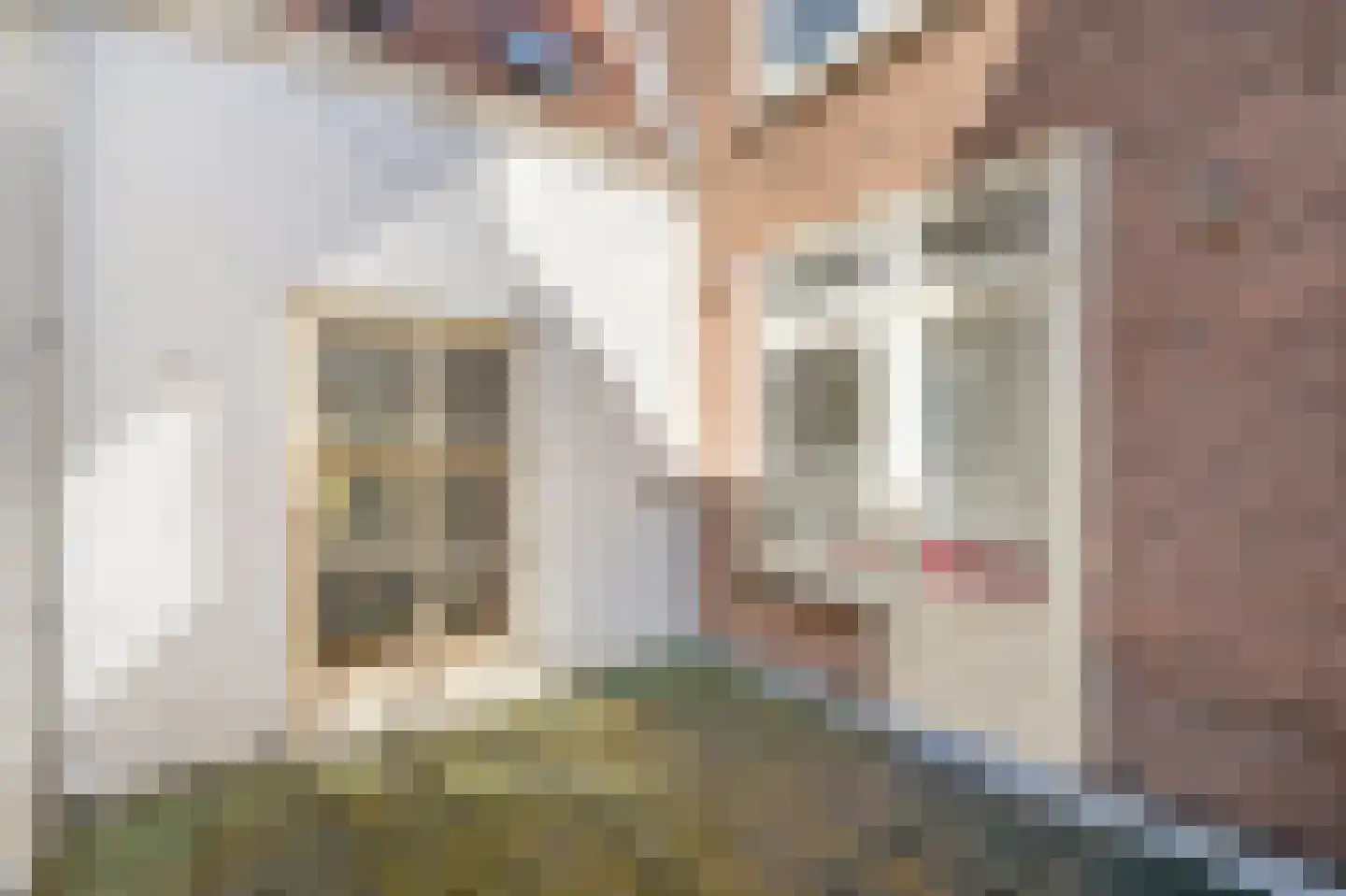 Wagenstraat 175 Den Haag thumbnail 10