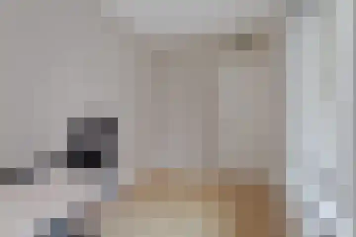 Wagenstraat 18 Utrecht thumbnail 32