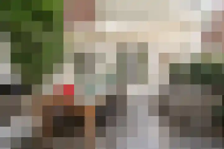 Wagenstraat 18 Utrecht thumbnail 34