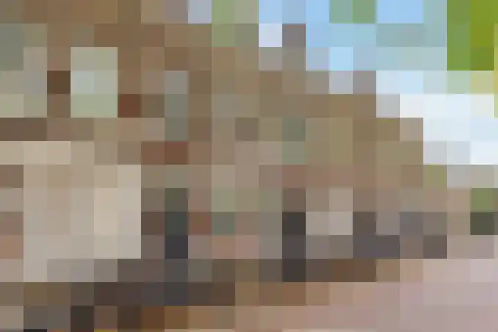 Wagenstraat 18 Utrecht thumbnail 5