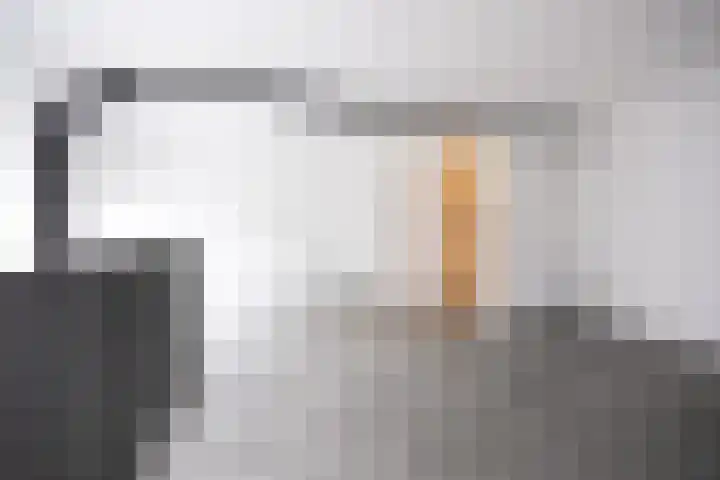Wagenstraat 2 A Lisse thumbnail 18