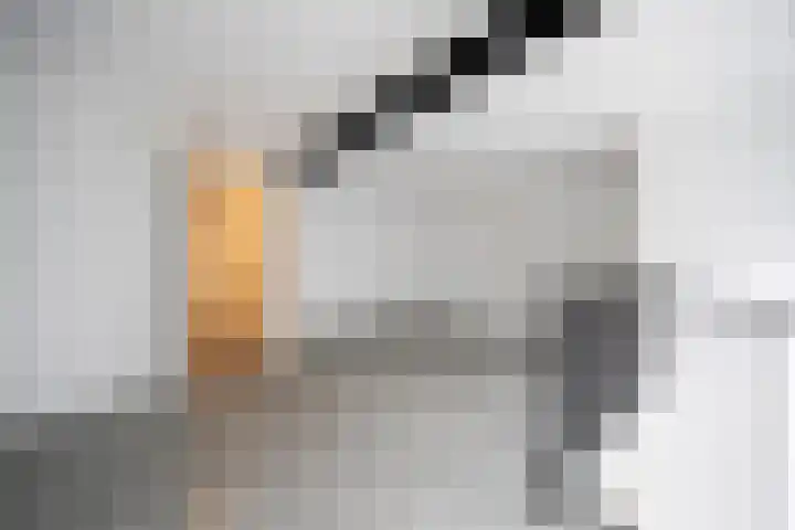 Wagenstraat 2 A Lisse thumbnail 19