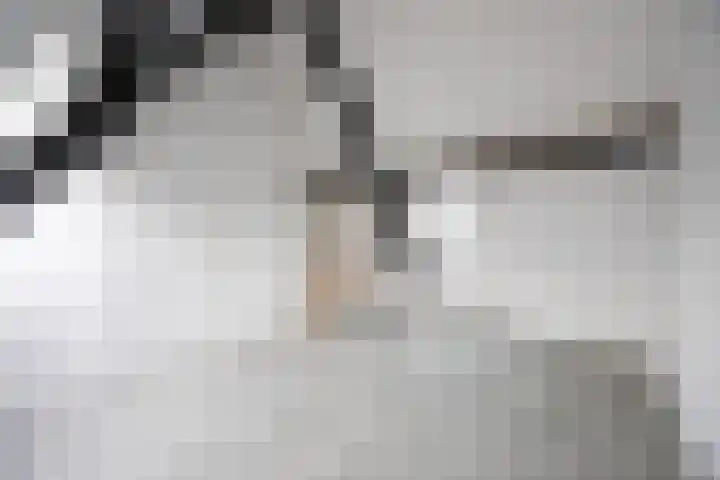Wagenstraat 2 A Lisse thumbnail 24