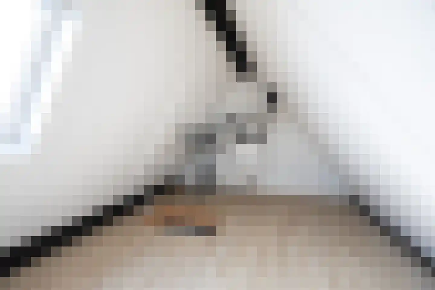Wagenstraat 2 C Lisse thumbnail 16