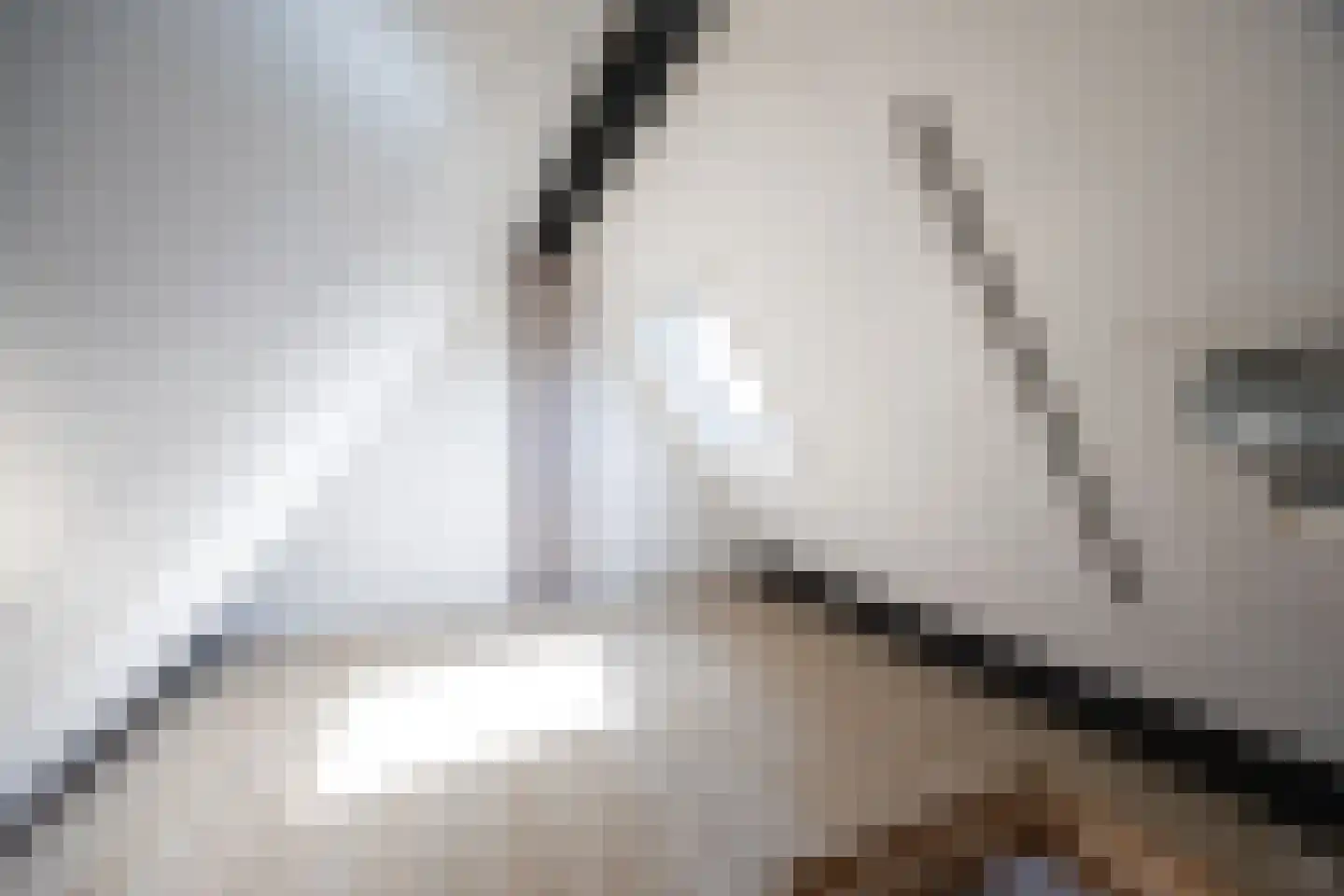 Wagenstraat 2 C Lisse thumbnail 17