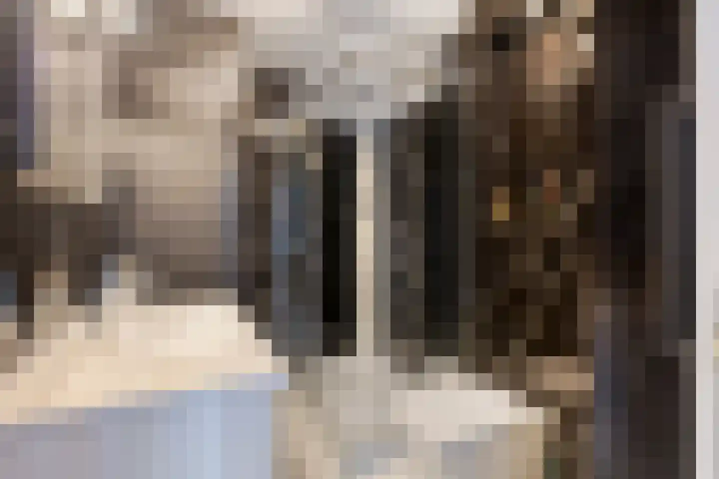 Wagenstraat 23 Den Helder thumbnail 14
