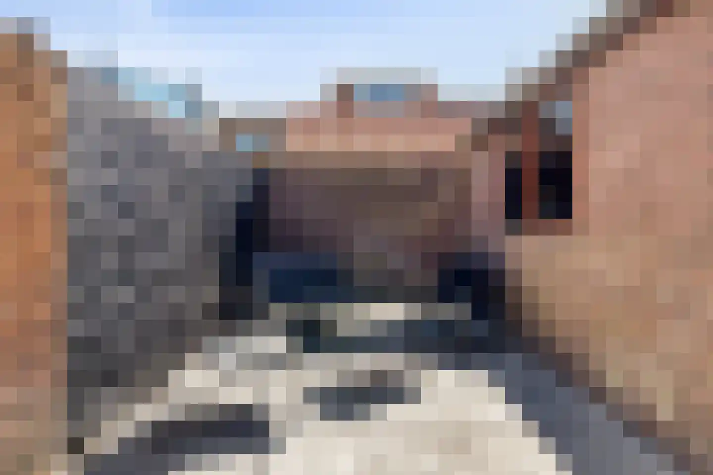 Wagenstraat 23 Den Helder thumbnail 27
