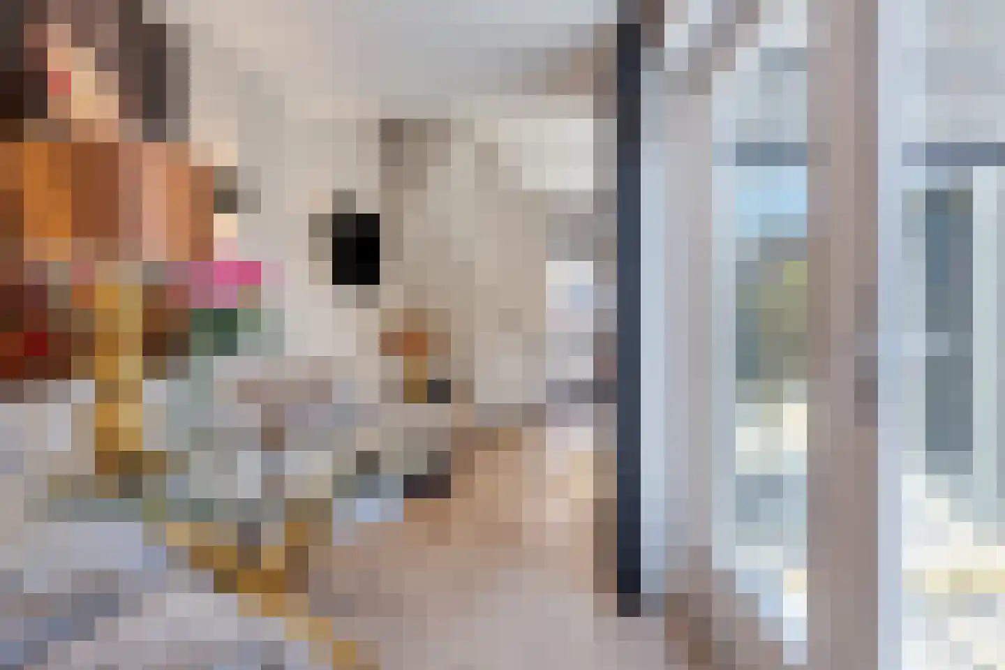 Wagenstraat 23 Den Helder thumbnail 8
