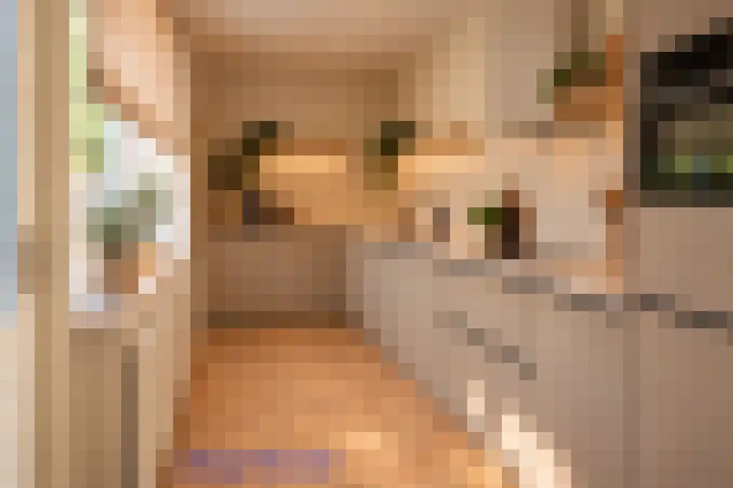 Wagenstraat 25 Lisse thumbnail 15