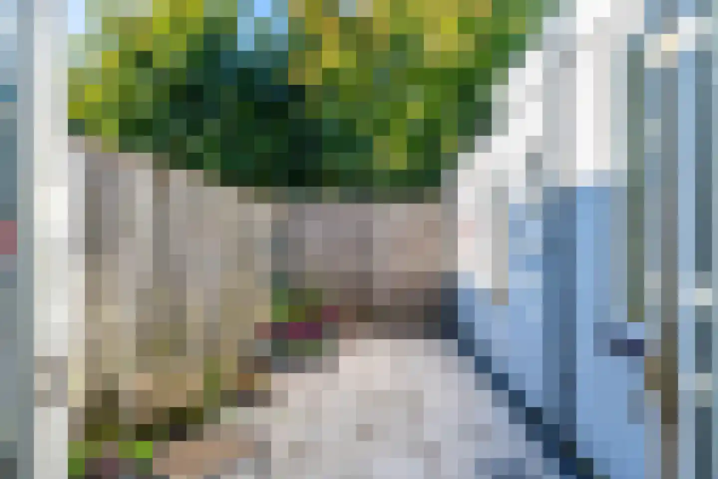 Wagenstraat 25 Lisse thumbnail 17