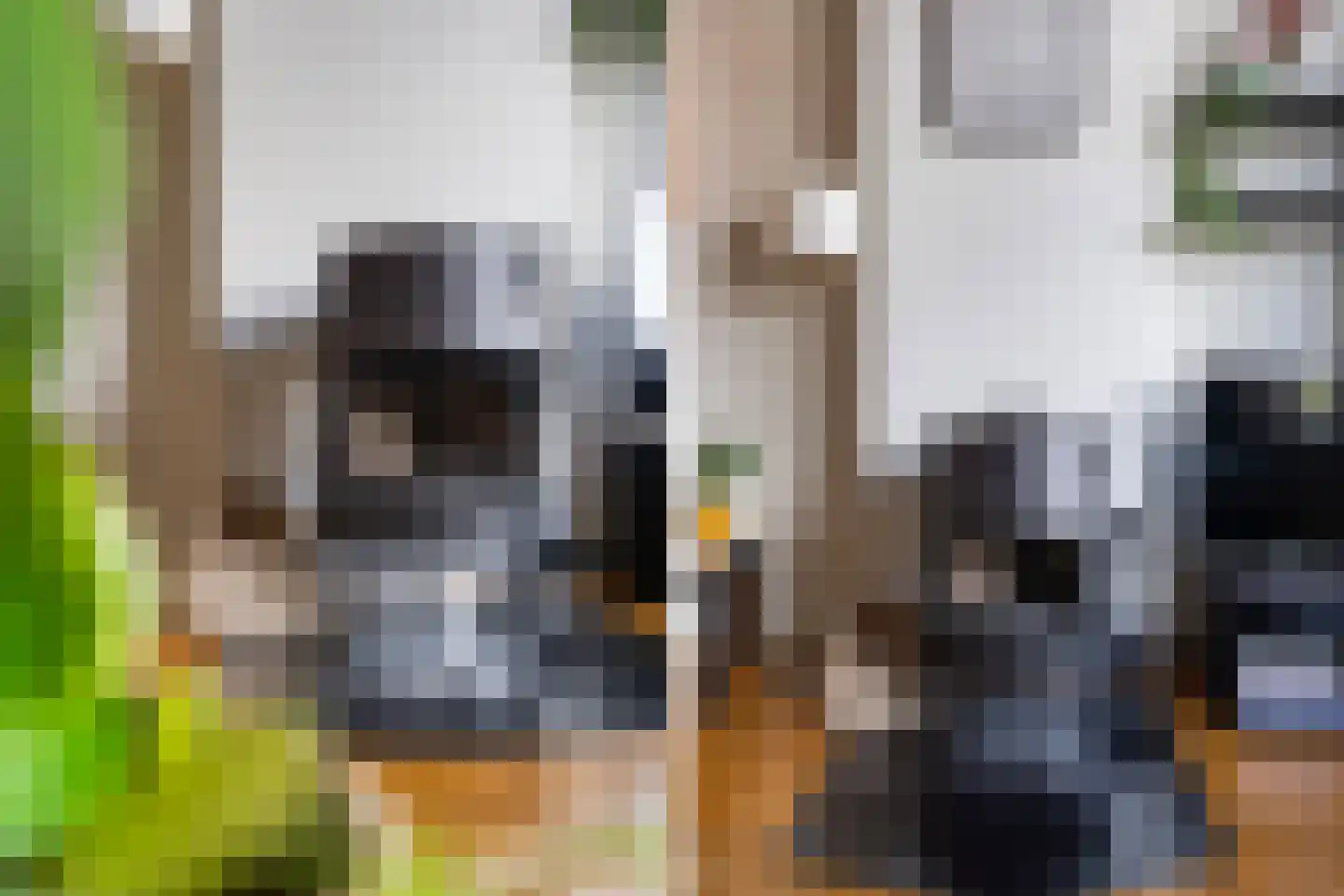 Wagenstraat 26 BS Utrecht thumbnail 15