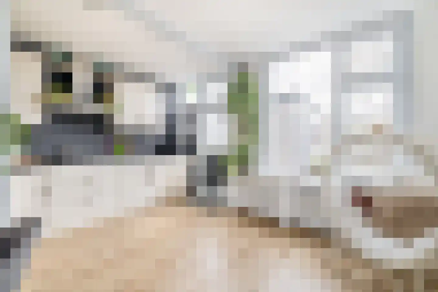 Wagenstraat 38 Lisse thumbnail 10