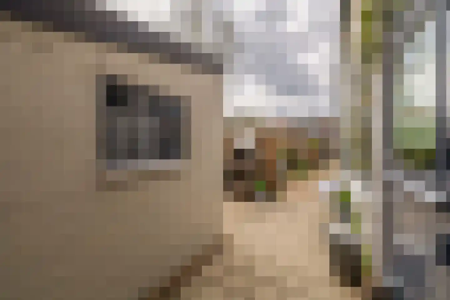 Wagenstraat 38 Lisse thumbnail 17