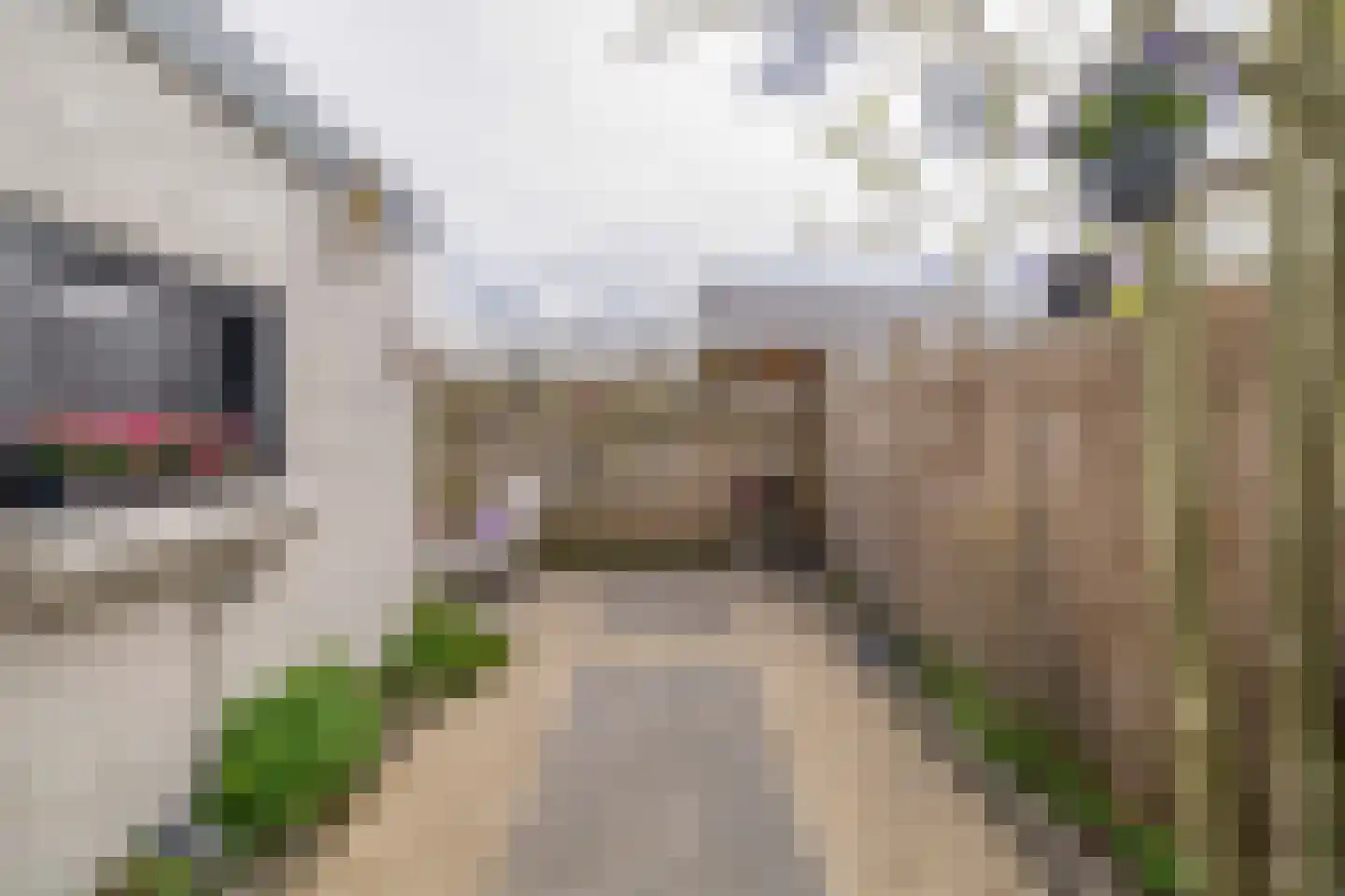 Wagenstraat 38 Lisse thumbnail 18