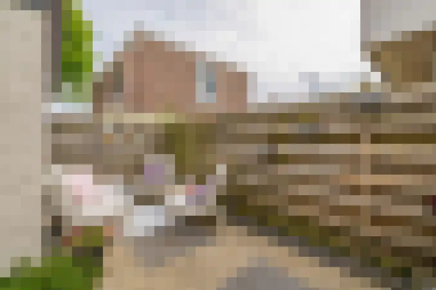Wagenstraat 38 Lisse thumbnail 19
