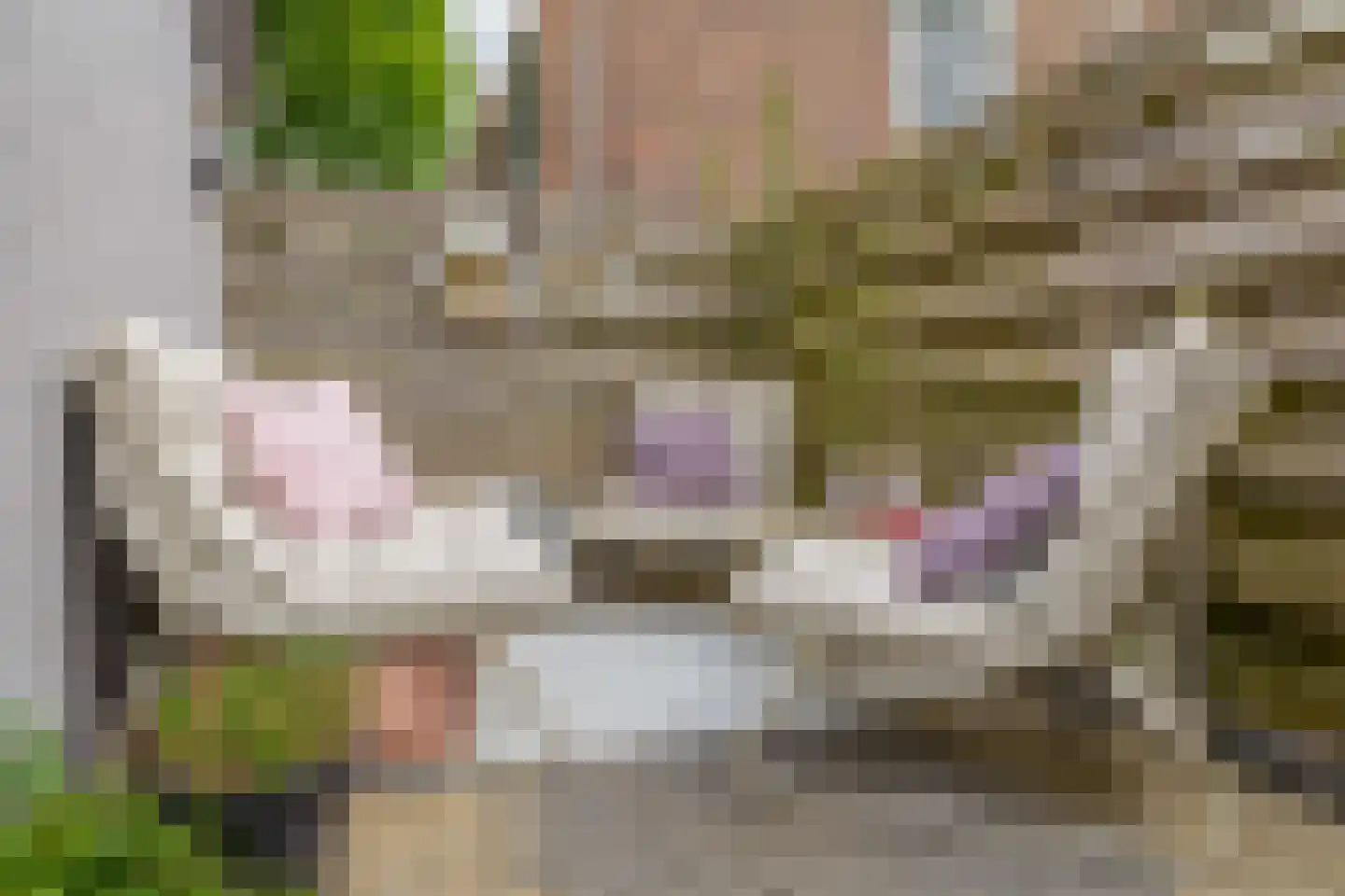 Wagenstraat 38 Lisse thumbnail 20