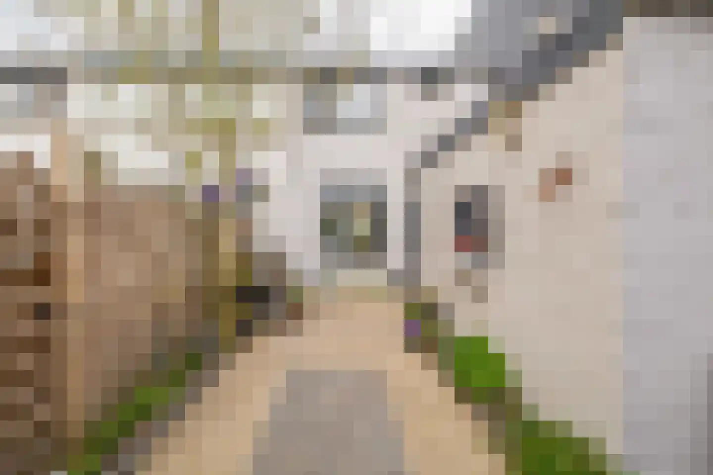 Wagenstraat 38 Lisse thumbnail 21
