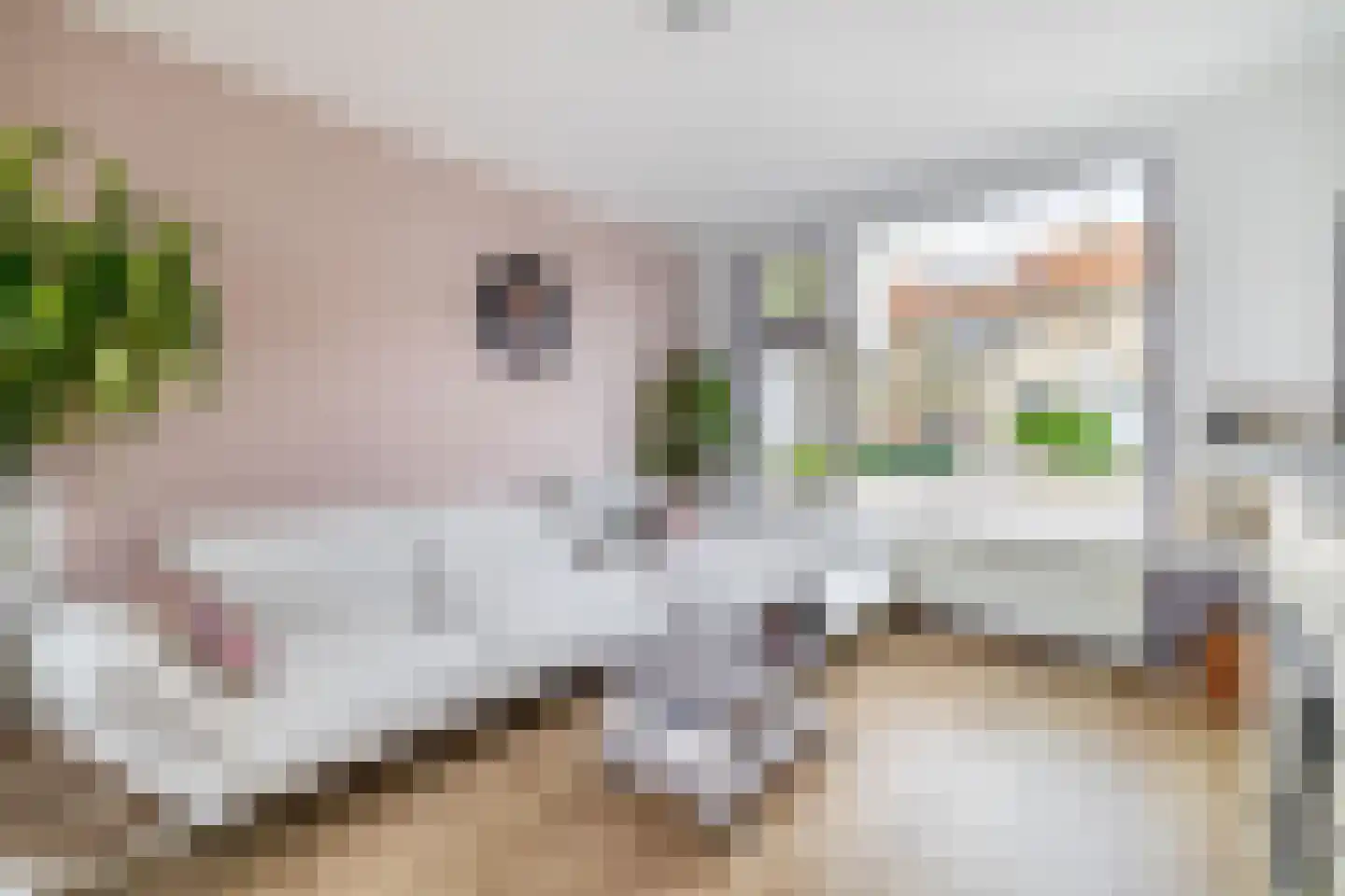 Wagenstraat 38 Lisse thumbnail 5