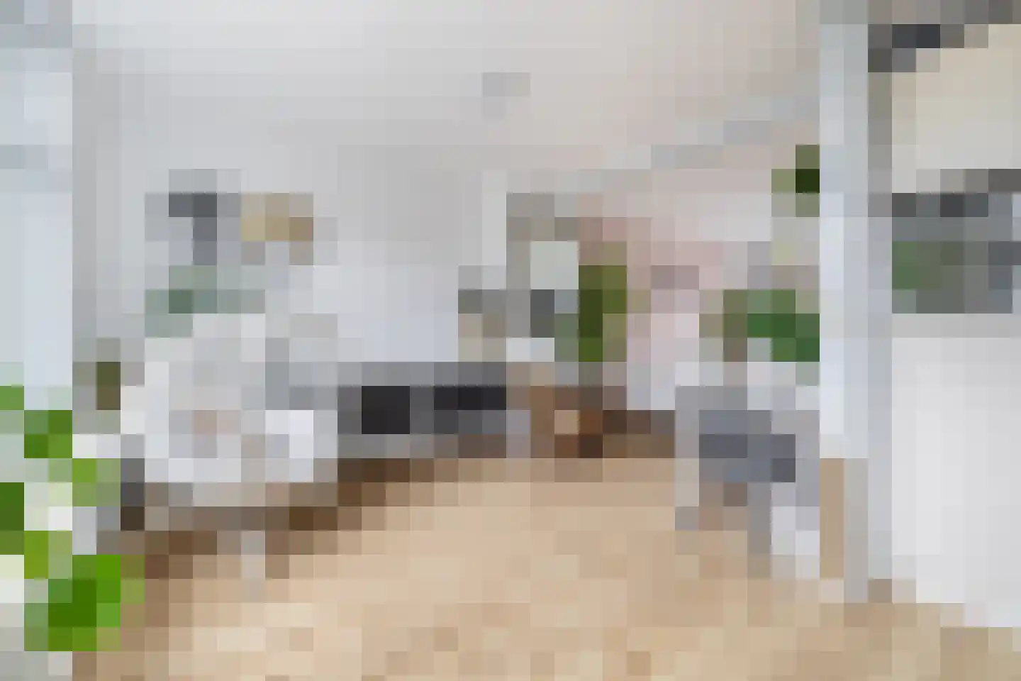 Wagenstraat 38 Lisse thumbnail 7