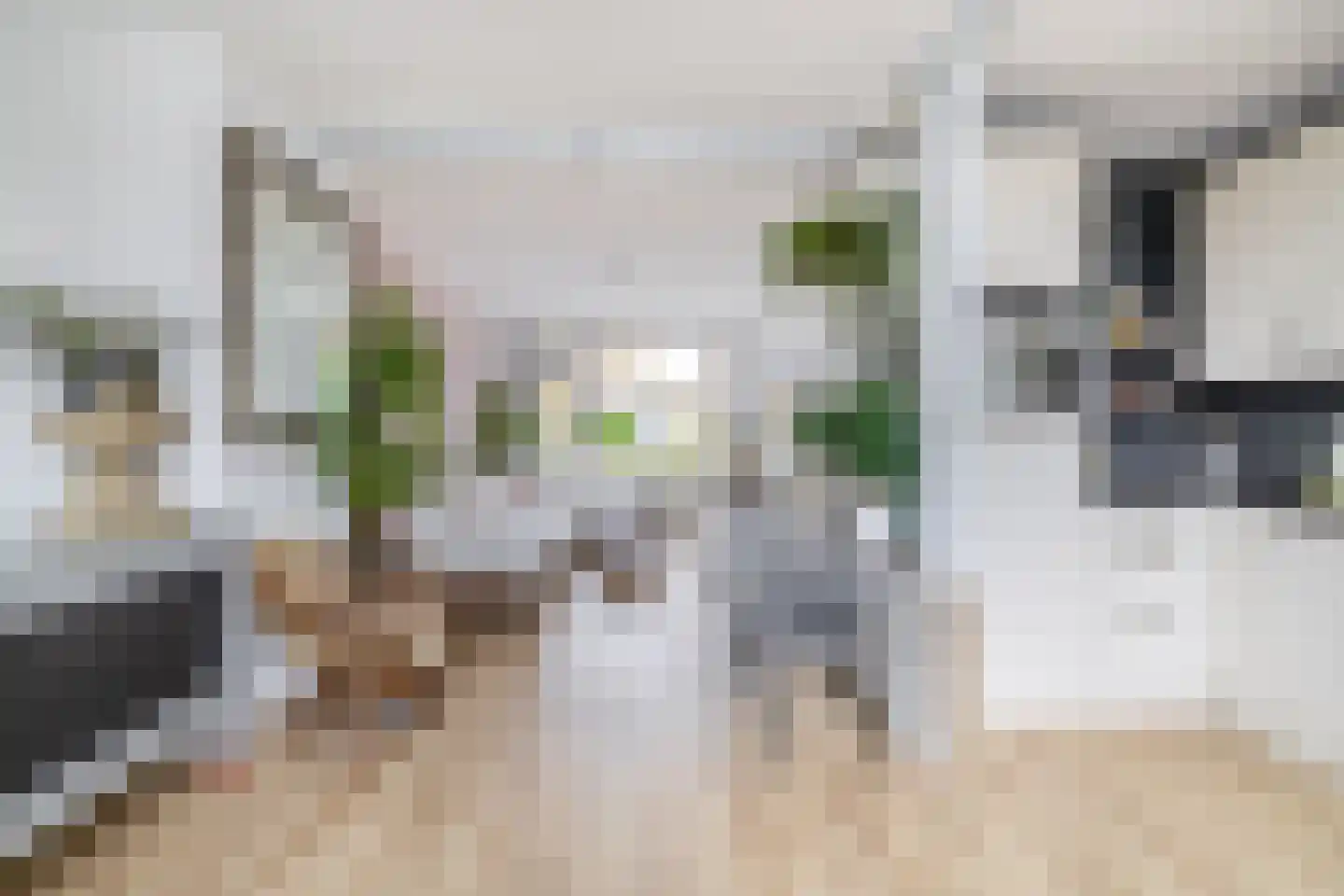 Wagenstraat 38 Lisse thumbnail 8