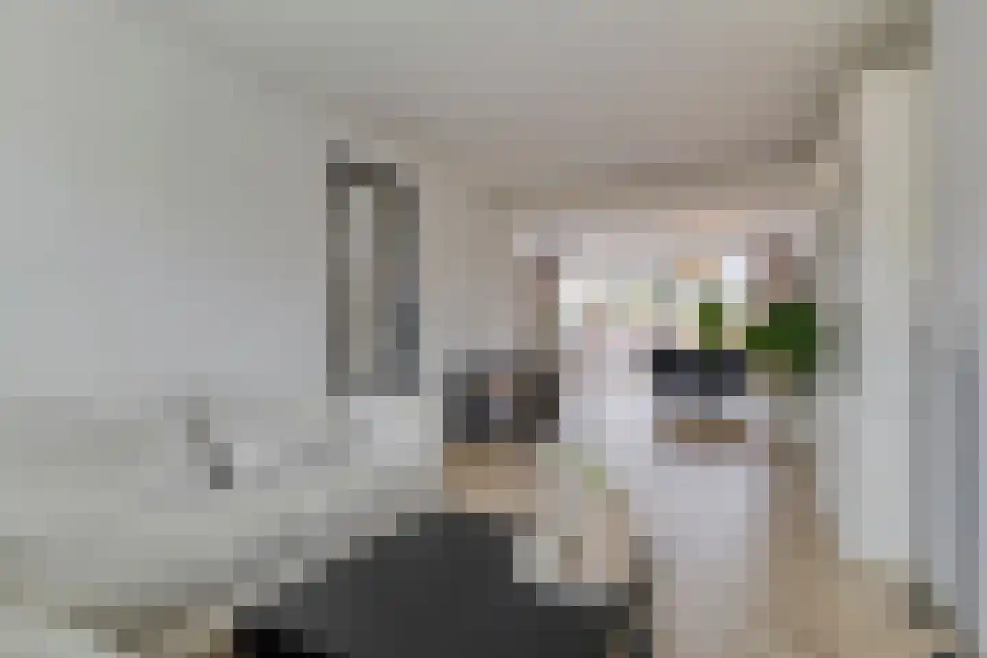 Wagenstraat 4 Gennep thumbnail 13
