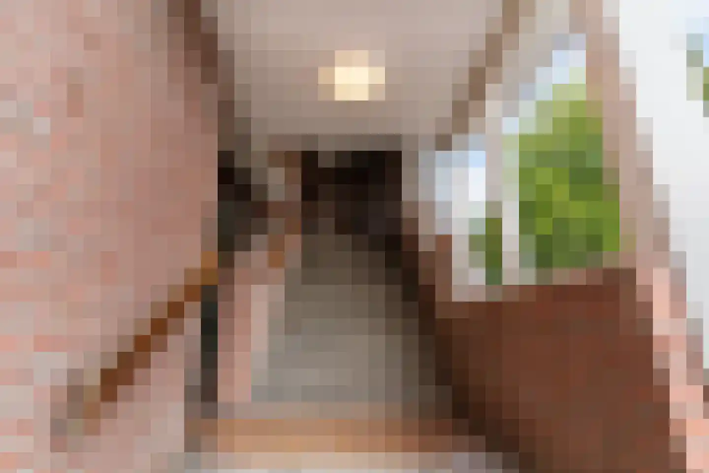 Wagenstraat 42 Woerden thumbnail 25