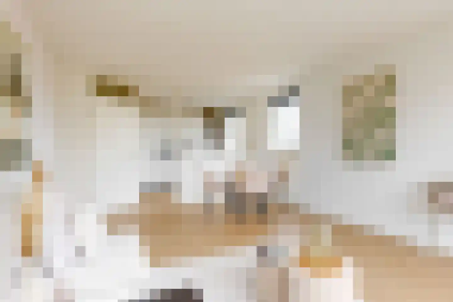 Wagenstraat 52 Woerden thumbnail 5
