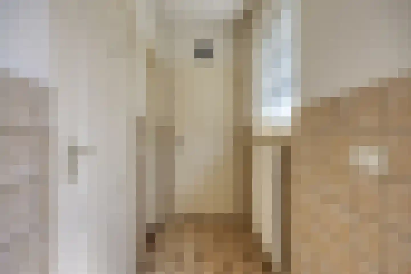 Wagenstraat 58 Wagenberg thumbnail 22