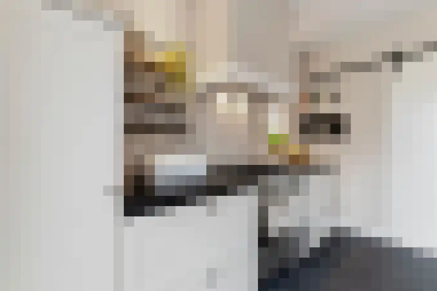 Wagenstraat 6 Gennep thumbnail 11